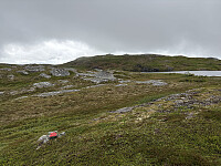 ØyvindBergkvam_20251021_68f7849a41bdc.jpg
