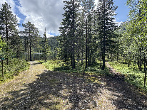 Området nedenfor Teveltunet Fjellstue er et idyllisk og flott rekreasjonsområde!