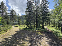 ØyvindBergkvam_20251021_68f7921a34b57.jpg