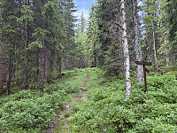 ØyvindBergkvam_20251021_68f798d3cf3a1.jpg