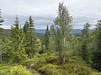 ØyvindBergkvam_20251021_68f798dcd682f.jpg