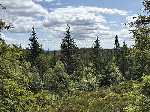 Noe utsikt mot SØ fra toppen