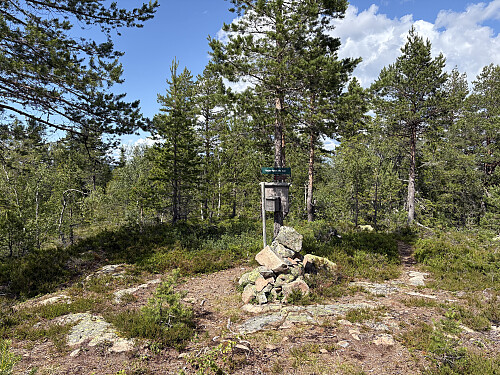 Rauberflaket i Kongsberg, Siljan og Larvik