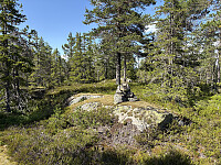 ØyvindBergkvam_20251022_68f8806d91edf.jpg
