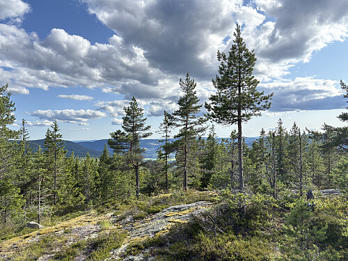 Oppe på åsen, nå er det 3-400 meter innover til toppunktet