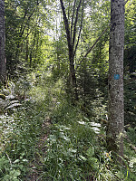ØyvindBergkvam_20251025_68fc924958b82.jpg