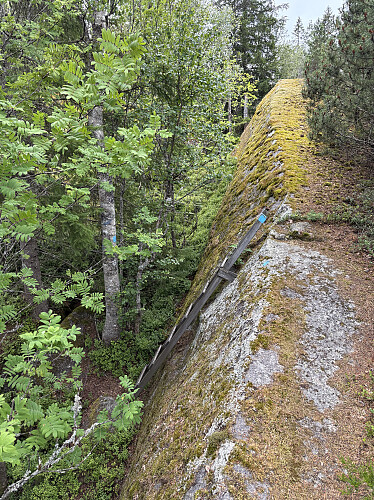 Denne stigen kom godt med like nedenfor toppen av Svarteberget