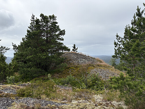 Svarteberget NV i Siljan
