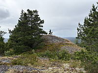 ØyvindBergkvam_20251025_68fc926299e52.jpg