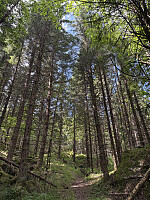 ØyvindBergkvam_20251025_68fc9276e3cd0.jpg