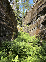ØyvindBergkvam_20251025_68fc928701cca.jpg