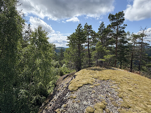 Endelig på toppen av Skilskjølen