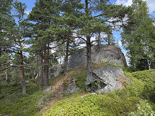 Toppen av Skilskjølen sett fra sørsiden