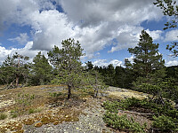 ØyvindBergkvam_20251025_68fc92a2c37f5.jpg