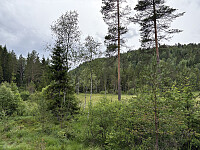 ØyvindBergkvam_20251026_68fdc1bd6cfaa.jpg