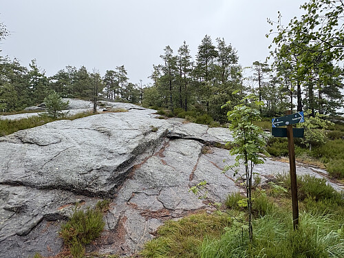 Stien opp til Gråmannen er merket og skiltet