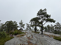 ØyvindBergkvam_20251026_68fdca080554a.jpg