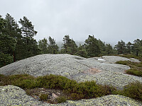 ØyvindBergkvam_20251026_68fdca1221f72.jpg