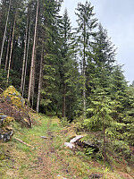 ØyvindBergkvam_20251026_68fdcce3eaa94.jpg