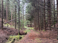 ØyvindBergkvam_20251026_68fdccea65172.jpg