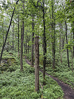 ØyvindBergkvam_20251026_68fdccf2232a3.jpg