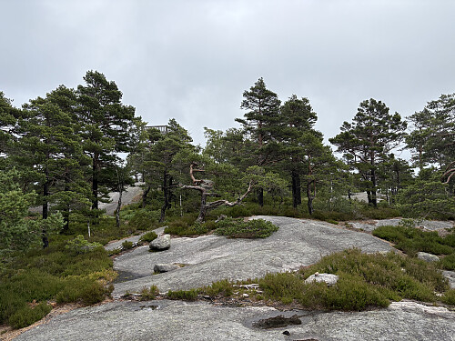 Utsiktstårnet på Slettehei