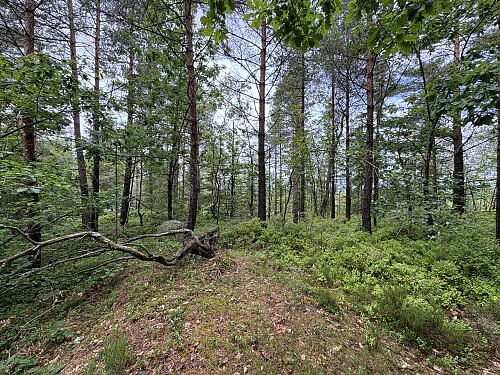 Toppunktet på Varehei (Eikelandsvarden) er ikke så spennende!