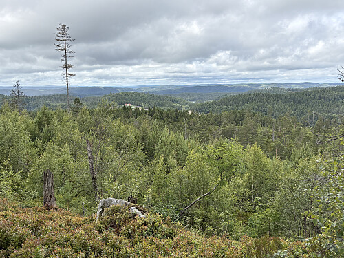 Flott utsikt hundre meter øst for toppen.