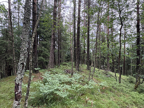 Sølvdalsfjellet i Vennesla