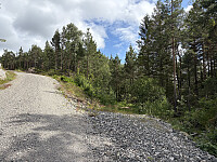 ØyvindBergkvam_20251026_68fdf27f73178.jpg