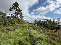 ØyvindBergkvam_20251026_68fdf285c03db.jpg