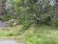 ØyvindBergkvam_20251026_68fdf6a34efea.jpg
