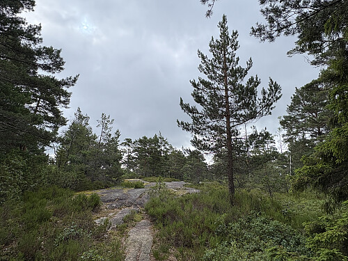 Det høyeste punktet på Voreheia kan være her...