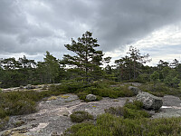 ØyvindBergkvam_20251026_68fdfa56ca50f.jpg