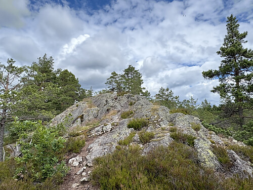 Toppkollen på Rødsfjell