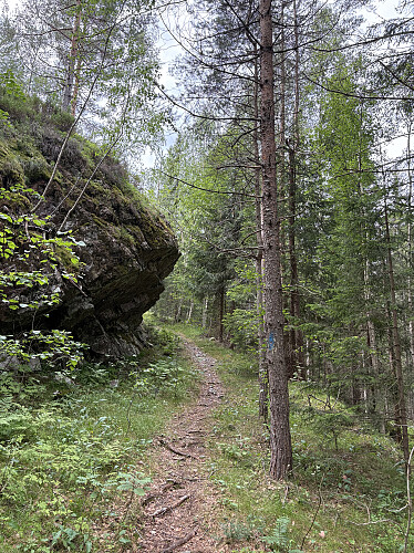 Det er god sti opp til Storfjell fra nord