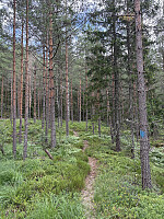 ØyvindBergkvam_20251026_68fe06c6413d3.jpg