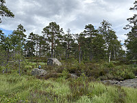 ØyvindBergkvam_20251026_68fe06dca47f9.jpg