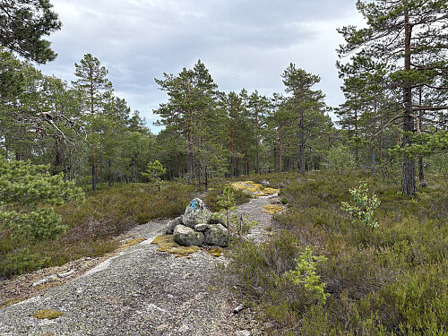 Bjønnåsfjell i Drangedal