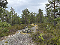 ØyvindBergkvam_20251026_68fe06e2dce07.jpg