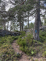 ØyvindBergkvam_20251026_68fe50b16f5d2.jpg