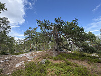 ØyvindBergkvam_20251026_68fe50b9911a1.jpg