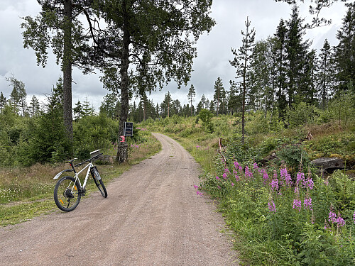 Ved p-plassen øst for Vindfjelltunet. Bommen var åpen for øyeblikket, men jeg synes det er greiest å parkere på utsiden:)