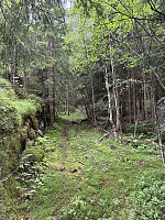 ØyvindBergkvam_20251028_690080a66cc9a.jpg