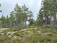 ØyvindBergkvam_20251028_690080b302ca0.jpg
