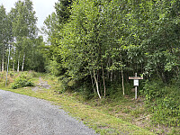 ØyvindBergkvam_20251028_690089401198b.jpg