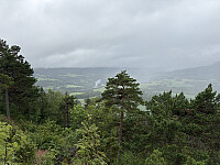 ØyvindBergkvam_20251028_6900895381478.jpg