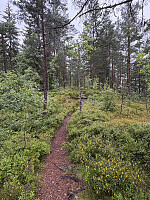 ØyvindBergkvam_20251028_69008c6edcbd3.jpg