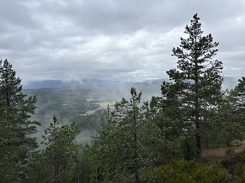 Vid utsikt fra toppen til tross for litt tåke denne dagen