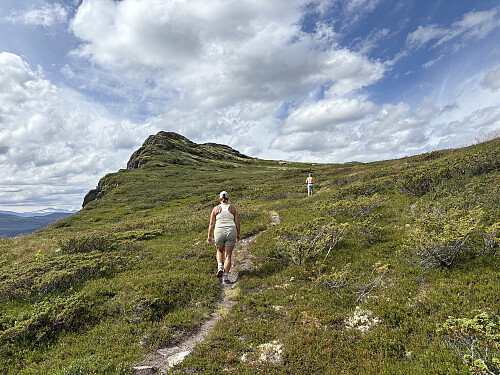 Ronåsån er en artig liten topp man passerer på vei opp til Svartkampen